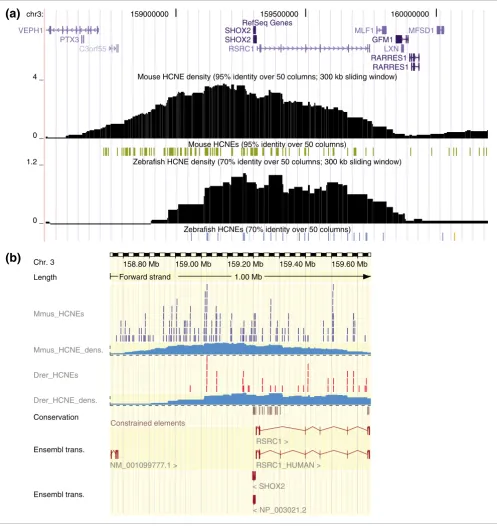 Figure 7Ancora tracks in the UCSC and Ensembl genome browsers