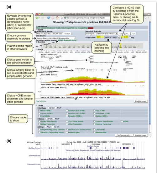 Figure 2A 1.7 Mb region around the human SHOX2 gene