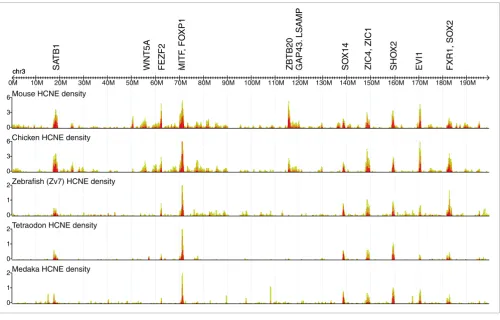 Figure 4HCNE density distributions on human chromosome 3