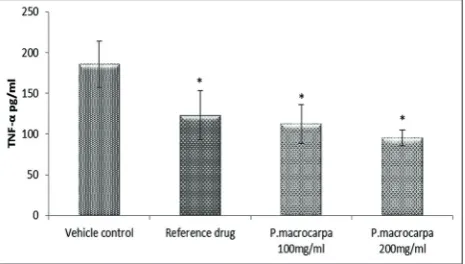 FIGURE 2. Effects ofhealing (wound area mm5 rats/group. (* Significant ( P. macrocarpa on the progression of wound 2) in rats (Data expressed as mean ± SD, p ≤ 0.05) compared with vehicle control).