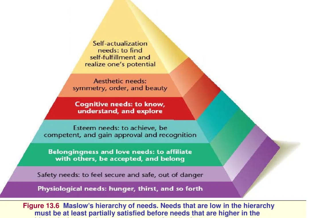 Figure 13.6 Maslow’s hierarchy of needs. Needs that are low in the hierarchy  must be at least partially satisfied before needs that are higher in the  hierarchy become important sources of motivation.
