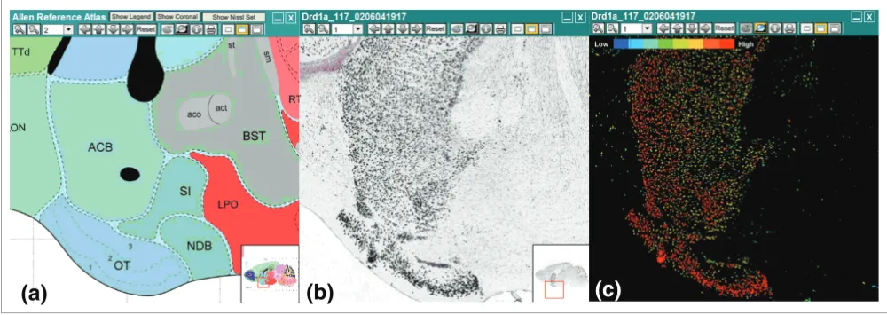 Figure 1Signal segmentation of ISH data