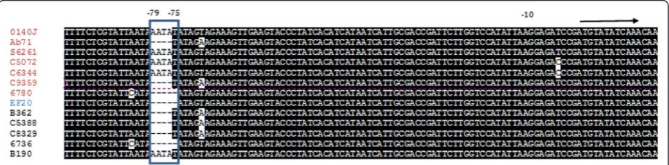 Figure 7 Variation in theBoxshade server (http://www.ch.embnet.org/software/BOX_form.html) was used to highlight the high degree of conservation within the alignedregion