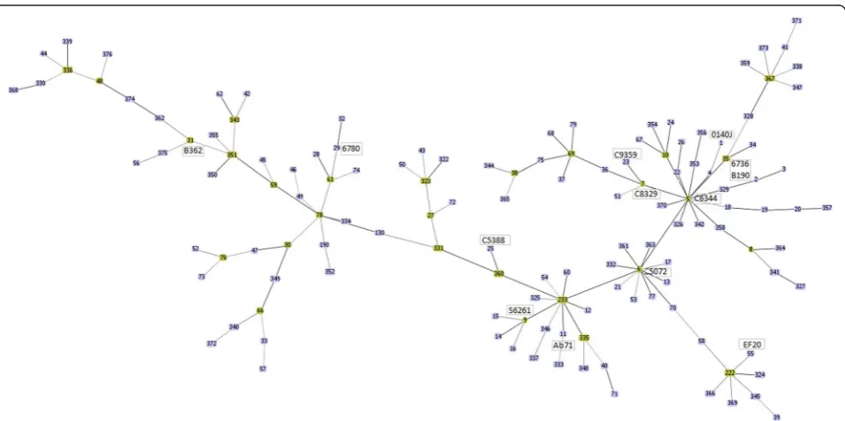 Figure 1 Multilocus sequence typing (MLST) of isolates used in the study. MLST distribution of 13 isolates compared to the other UK strainsavailable in the PubMLST database