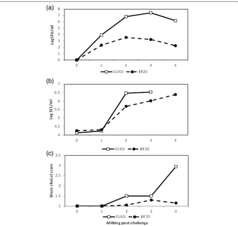 Figure 2 Bacterial isolation, somatic cell count and clinical response following challenge withsomatic cell count/ml of milkeach milking following challenge, measured by cfu/ml of milkmean value obtained after challenge of animals with either S
