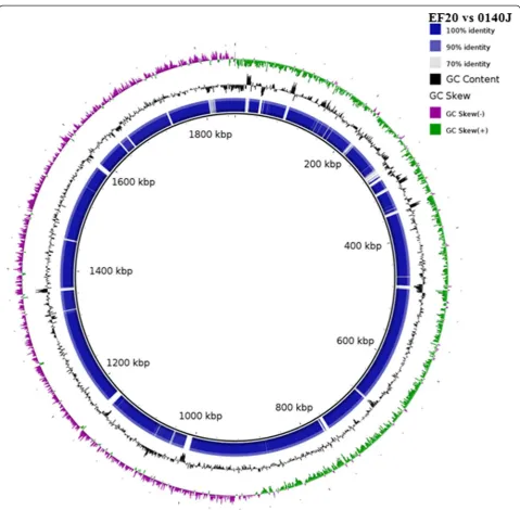 Figure 3 Sequence similarity comparison of 0140J and EF20. The innermost dark circle represents the reference genome 0140J (genome size1852,352 bp) and the blue circle surrounding the reference genome represents the genome of EF20