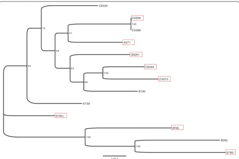 Figure 6 Whole genome phylogeny of[19] using a GTR model estimated gamma distribution and 4 substitution rate categories