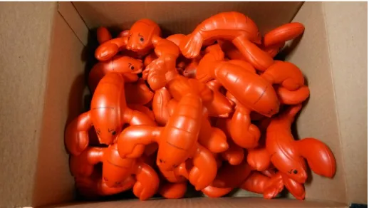 Fig. 1. To encourage deposits in the archive, data contributors are given a “crawdad” toy.