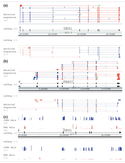 Figure 2 (see legend on next page)