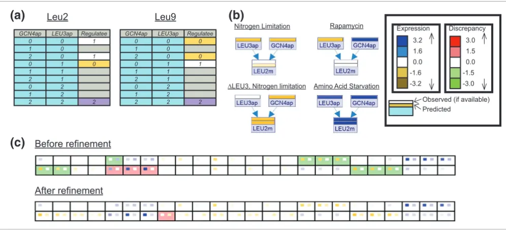 Figure 5Refinement of the leucine biosynthesis model