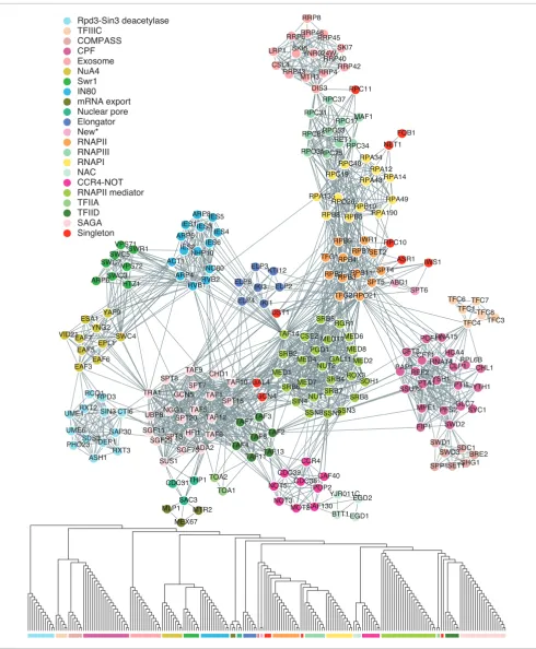 Figure 2A yeast transcriptional sub-network (upper) and the decomposition tree constructed by the BCD algorithm (lower)