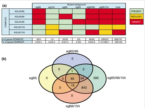 Figure 2Functional redundancy is high among AtMIKC* complexes