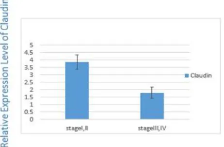 Fig. 3: Expression of Cofilin1 in different stages 