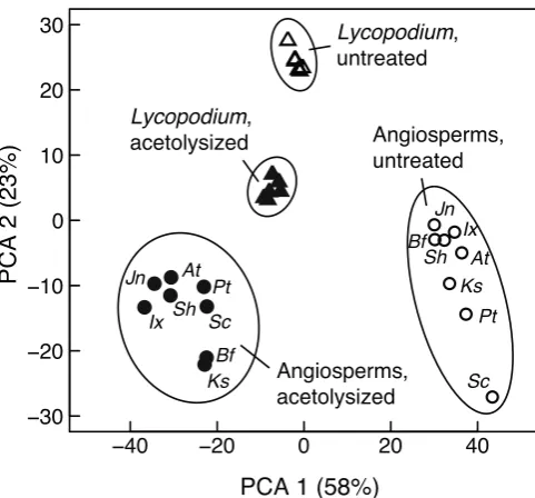 Fig. 8. Principal components analysis plot for angiosperms (circles) and Lycopodium (triangles), showing untreated samples (open symbols) and those acetolysized at 90°C for 10 min (filled symbols)