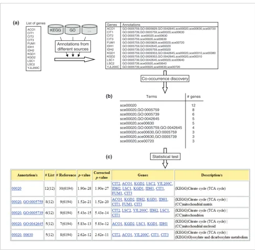 Figure 1Overview of the methodology