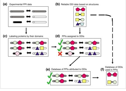 Figure 1A schematic description of the analysis