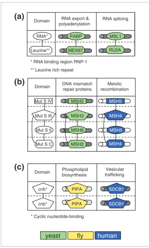 Figure 3organismsThe same DDIs are used in different cellular contexts and in different 