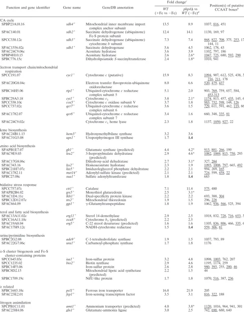 TABLE 2. Genes derepressed by both Fe repletion and a php4� deletion