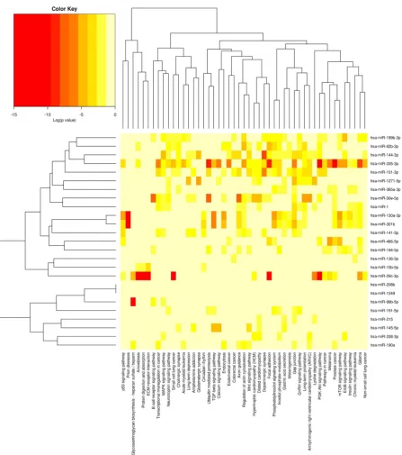 Figure 2. Heat map and Cluster patterns of the differentially expressed miRNAs and target gene related pathways