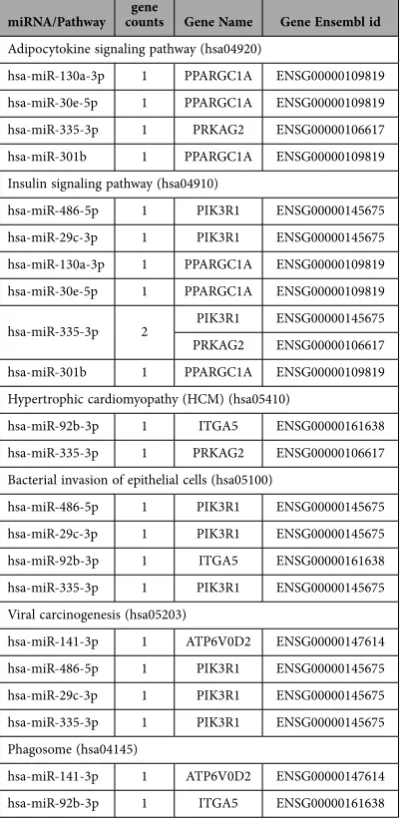 Table 5.  List of miRNAs and their target Genes which were both differentially expressed in LD muscle from low and high RFI pigs.