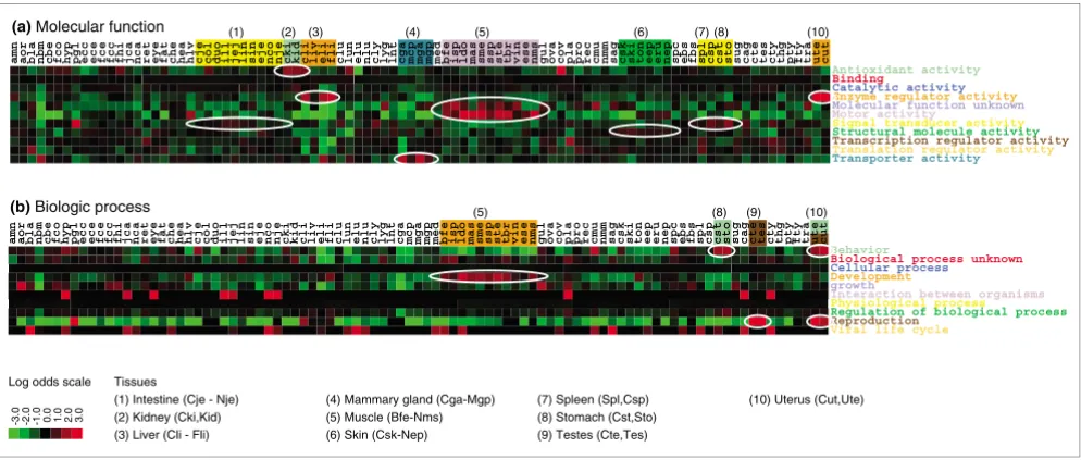 Figure 5Gene Ontology content of cDNA libraries and tissues