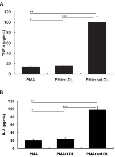 TABLE 1.  siRNA inhibited ox-LDL-induced TREM-1 expression and TNF-α and IL-8 secretion in U937 foam cells
