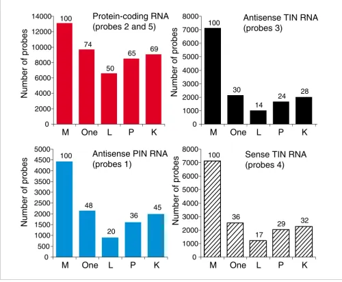 Figure 4Number of protein-coding, TIN and PIN transcripts expressed in three human tissues