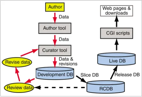 Figure 1Workflow for authoring and curation of new pathwaysWorkflow for authoring and curation of new pathways