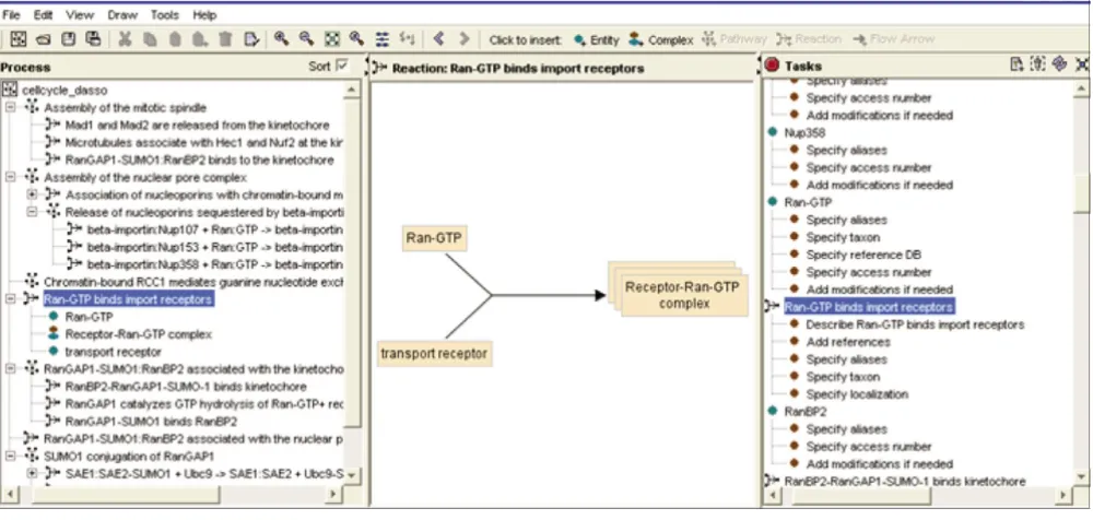 Figure 2The Reactome author tool provides authors with a graphical user interface to describe pathways and their component reactions in a structured manner