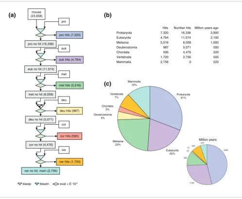 Figure 1Gene phylogeny was explored using a sequential blast pipeline