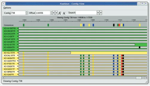 Figure 6Semantic zooming in the Contig View