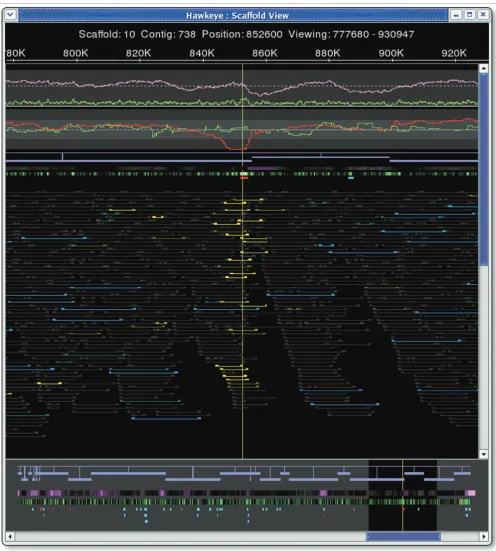 Figure 3Mis-assembly detection in Scaffold View