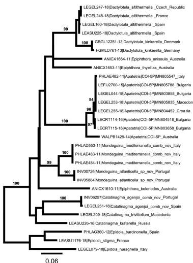 Figure 1. Gene tree obtained by Maximum Likelihood (ML) analysis of five Mondeguina gen