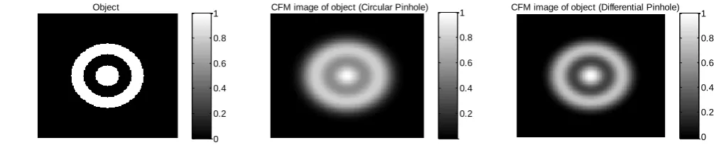 Figure 6. Comparing the CFM image of an annular object using a circular and differential pinhole at an outer pinhole radius of 0.4µm and 0.6µm respectively