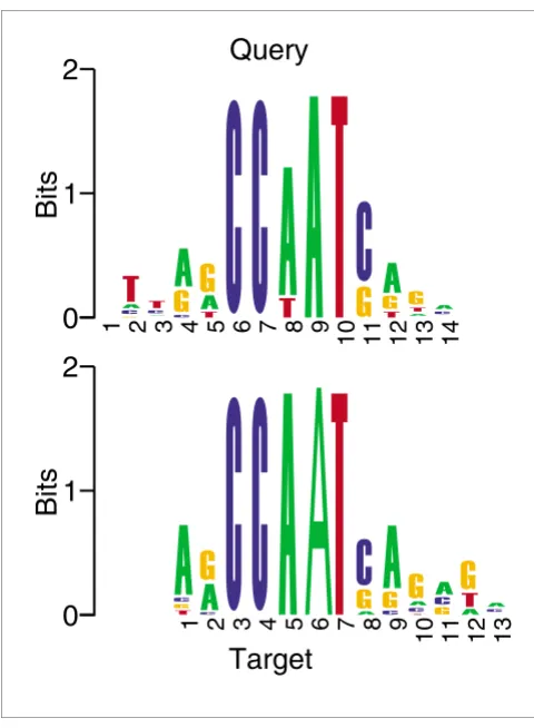 Figure 1An aligned pair of similar motifsparticular match. The figure was created using a version of seqlogo [26], An aligned pair of similar motifs