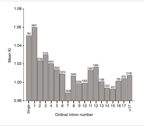 Figure 1Mean Ki as a function of the ordinal position of introns (relative to other introns of the same gene)Mean Kas a function of the ordinal position of introns (relative to other introns of the same gene)