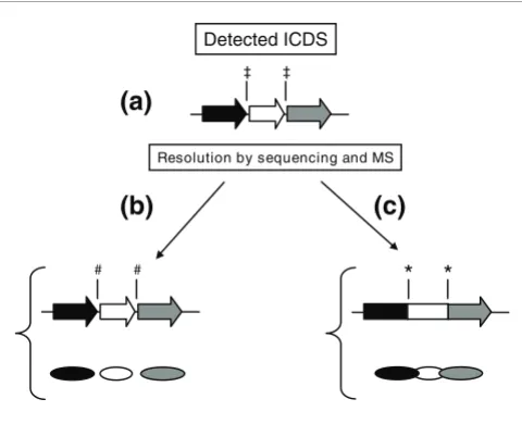 Figure 1Scheme for ICDS detection and resolution strategyindicates the region of the ORF containing the frameshift
