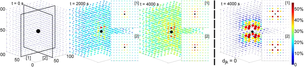 FIG. 2. Simulation of the polarization dynamics of 1330 nuclear spins (13C) arranged on a regular grid in a cube (11 × 11 × 11)around one central electron (black)