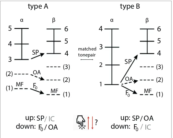 Figure 7. Examplary tone-pairs of Pitch Perception Preference Test, after Schneider et al