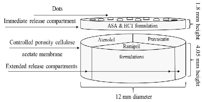 Fig. 1. Schematic structural diagram of the polypill design, showing the aspirin and 