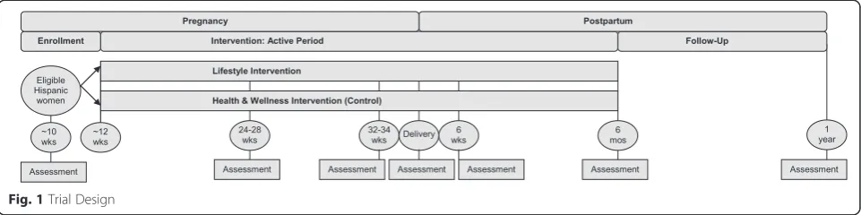 Fig. 1 Trial Design