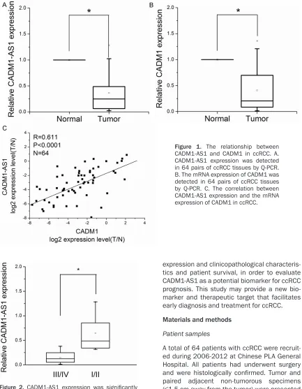 Figure 1. The relationship between CADM1-AS1 and CADM1 in ccRCC. A. CADM1-AS1 expression was detected in 64 pairs of ccRCC tissues by Q-PCR