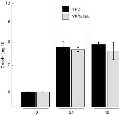FIG. 2. Growth assay of wild-type KN99�sole source of carbon and incubated at 30°C with shaking