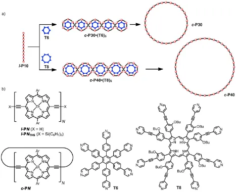 Figure  1.  (a)  Templated  synthesis  of  the  nanorings  c-P30  and  c-P40.  Reagents:  i)  PdCl2(PPh3)2,  CuI,  benzoquinone,  i-Pr2NH;  ii) pyridine; (b) Structures of l-PN, l-PNTHS, c-PN, T6 and T8; Ar = 3,5-bis(octyloxy)phenyl