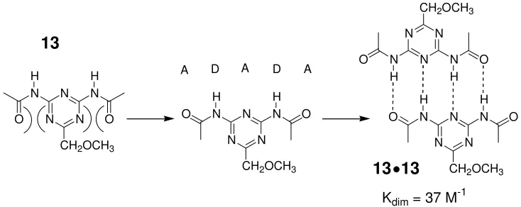 Figure 1.12 Weak ADADA hydrogen bonding molecule 13 capable of dimerizing in an ADAD●DADA complex, )( indicates spectator repulsions