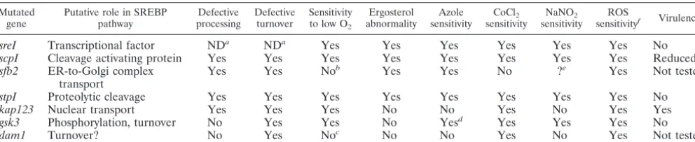TABLE 3. Summary of mutant phenotypes compared to wild type