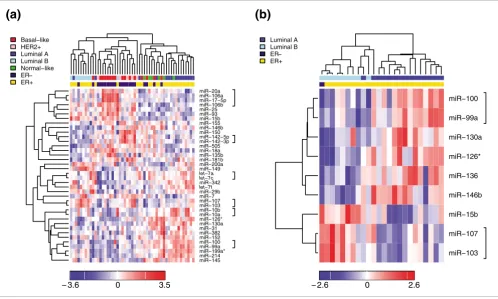 Figure 2Supervised hierarchical clustering over selected miRNAs (Pearson correlation, average linkage)
