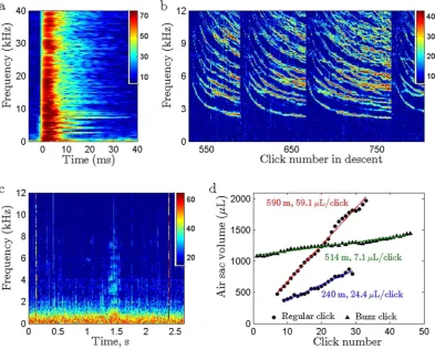 Figure 2. Resonance dynamics of pilot whale clicks recorded by dorsally-attached tags