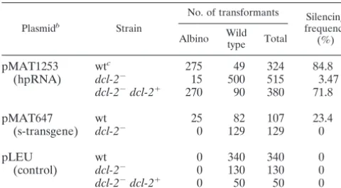 TABLE 3. Gene silencing by self-replicative sense and inverted-repeat transgenes in the dcl-2� mutant MU410 and a MU410transformant carrying a wild-type allele of dcl-2a