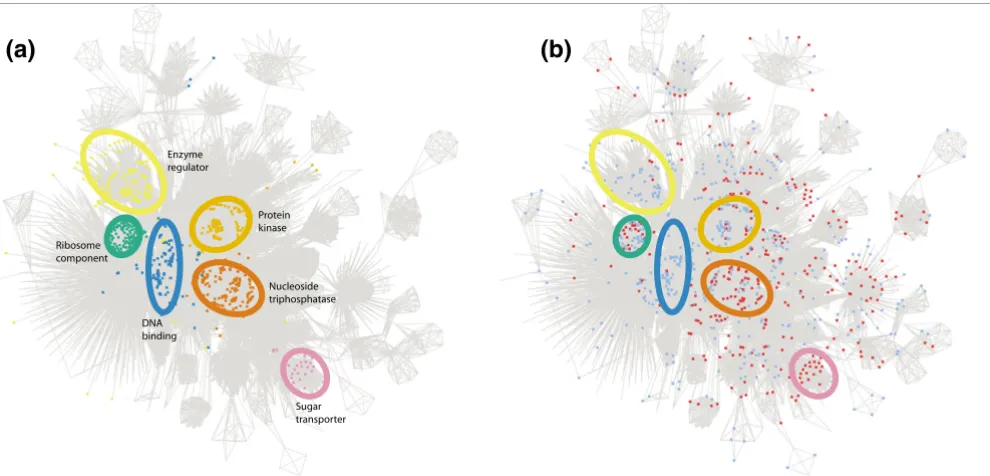 Figure 3Visualization of the two sets of duplicates on a semantic distance network